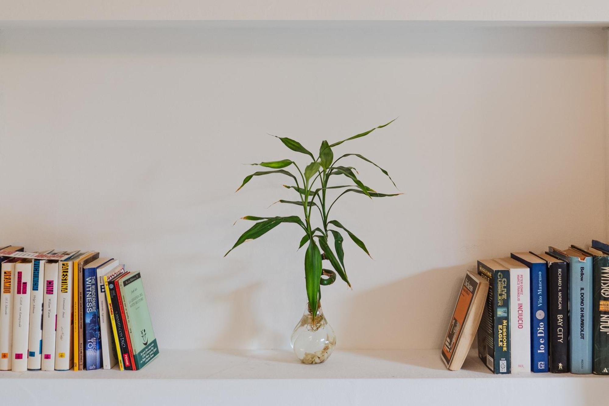 مبيت وإفطار كاتانيا Bed And Books المظهر الخارجي الصورة